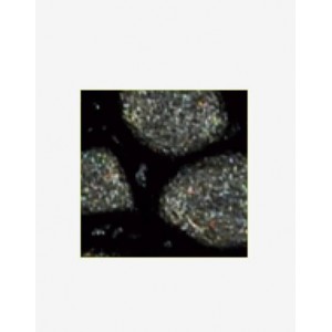 ΣΜΑΛΤΟ (ENAMEL) FANTASY PRISME Onyx 45ml PEBEO