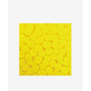 ΣΜΑΛΤΟ (ENAMEL) FANTASY PRISME Fluo Yellow 45ml PEBEO