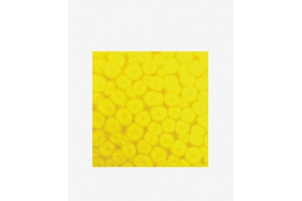 ΣΜΑΛΤΟ (ENAMEL) FANTASY PRISME Fluo Yellow 45ml PEBEO