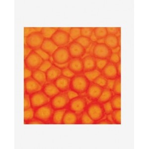 ΣΜΑΛΤΟ (ENAMEL) FANTASY PRISME Fluo Orange 45ml PEBEO
