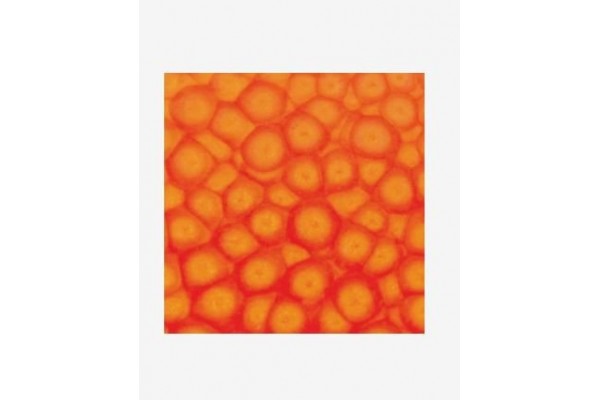 ΣΜΑΛΤΟ (ENAMEL) FANTASY PRISME Fluo Orange 45ml PEBEO
