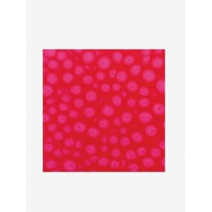 ΣΜΑΛΤΟ (ENAMEL) FANTASY PRISME Fluo Pink 45ml PEBEO