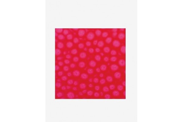 ΣΜΑΛΤΟ (ENAMEL) FANTASY PRISME Fluo Pink 45ml PEBEO