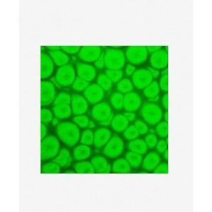 ΣΜΑΛΤΟ (ENAMEL) FANTASY PRISME Fluo Green 45ml PEBEO