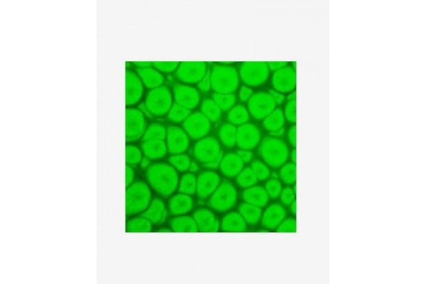 ΣΜΑΛΤΟ (ENAMEL) FANTASY PRISME Fluo Green 45ml PEBEO