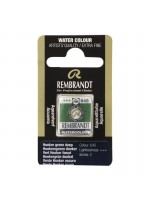 ΠΑΣΤΙΛΙΕΣ ΑΚΟΥΑΡΕΛΑΣ REMBRANDT S1 645 Hooker Green Deep
