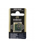 ΠΑΣΤΙΛΙΕΣ ΑΚΟΥΑΡΕΛΑΣ REMBRANDT S1 668 Chromium Oxide Green
