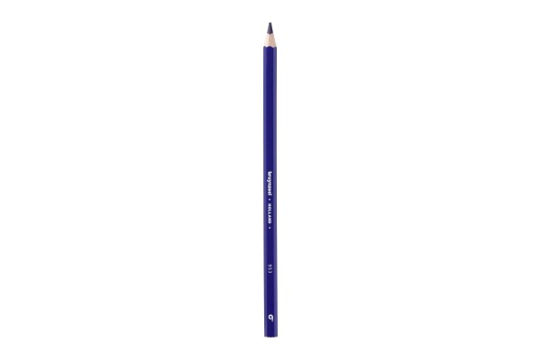 ΞΥΛΟΜΠΟΓΙΑ ΜΟΝΟΧΡΩΜΗ Νο 53 VIOLET